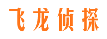 日土侦探公司